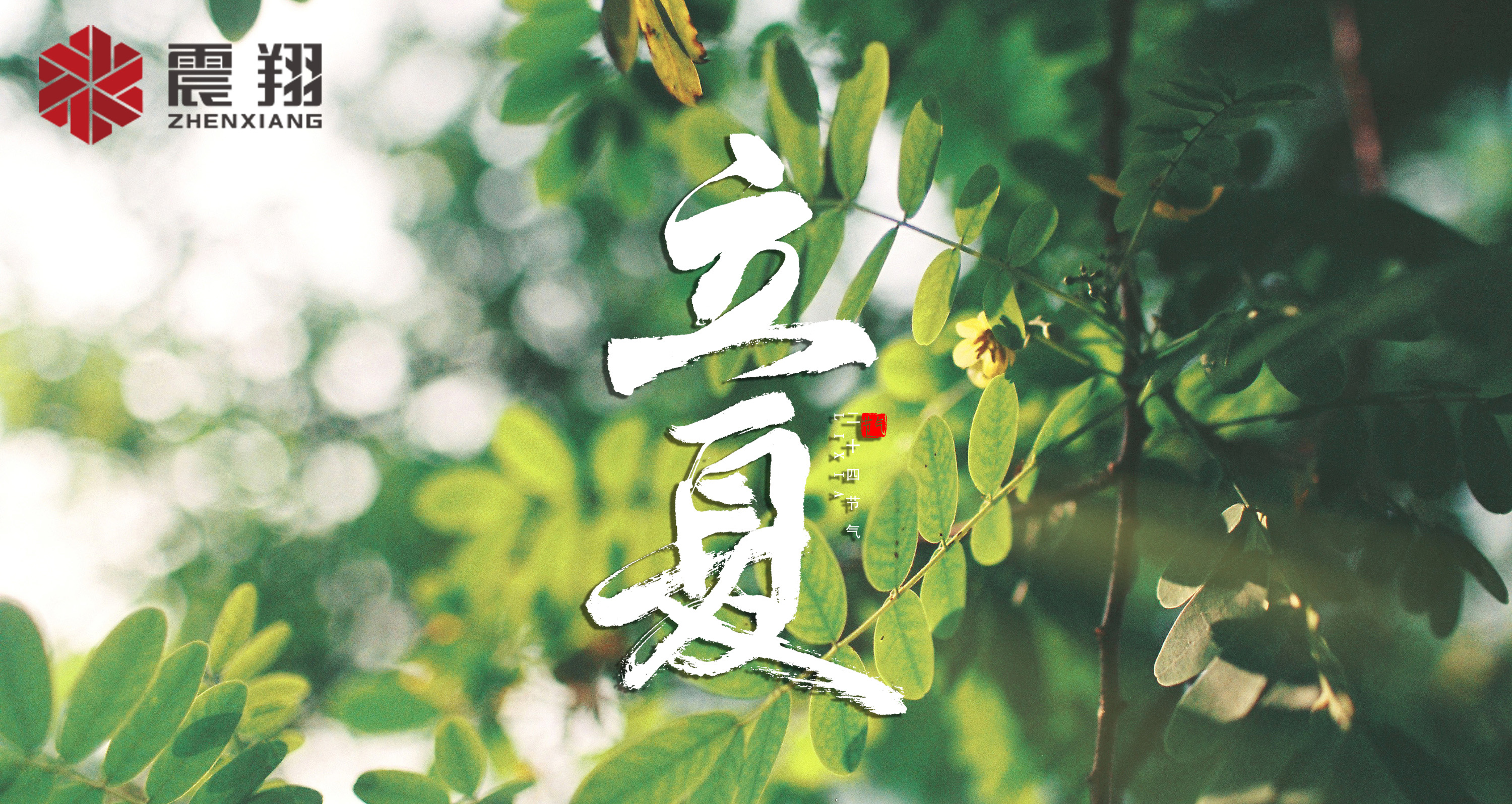 【立夏】春去春來不曾留意，夏日當(dāng)歸，撲面而來